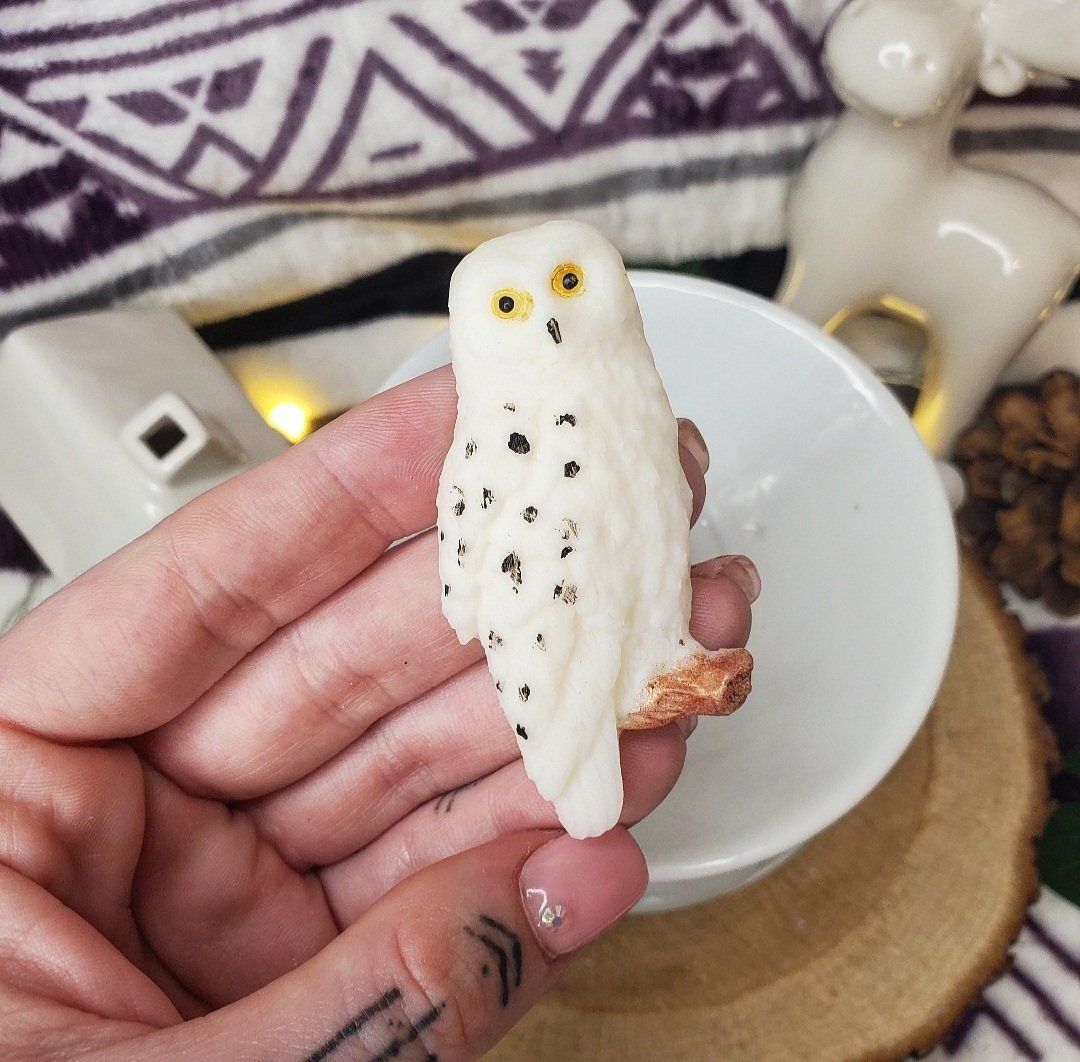Fondant école des sorciers