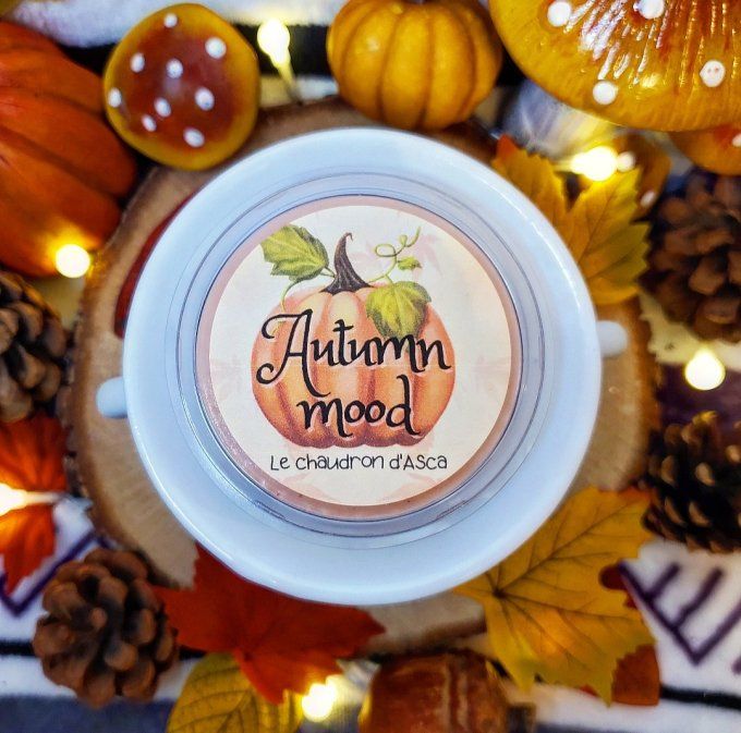 Tablette parfum autumn mood