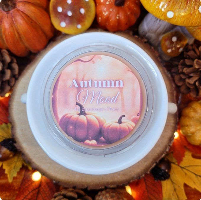 Tablette parfum autumn mood