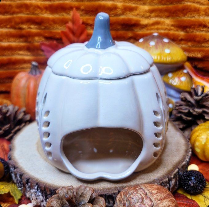 Brûleur citrouille blanche